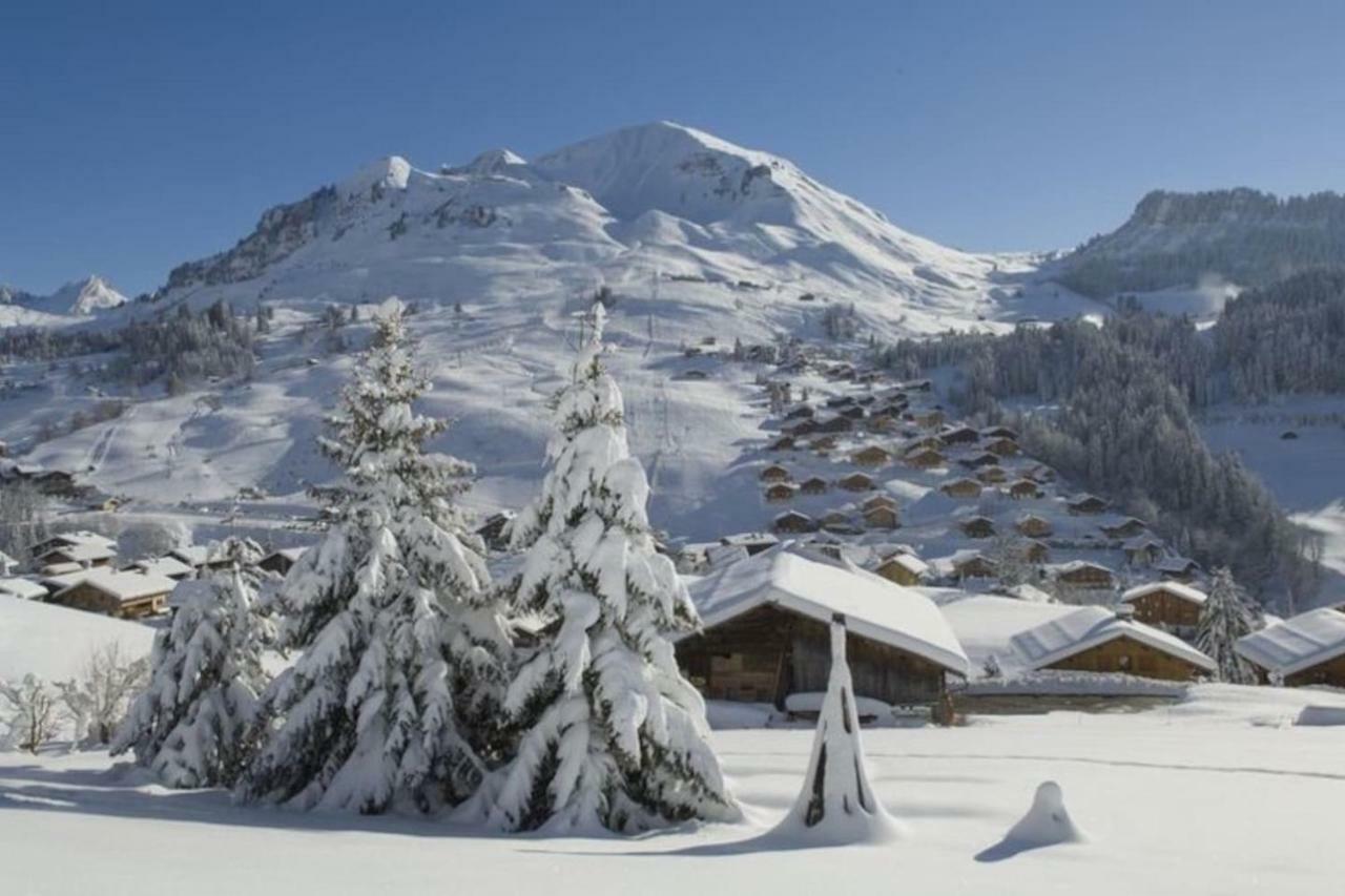 Bel Appartement Avec Vue Exceptionnelle Le Grand-Bornand Kültér fotó